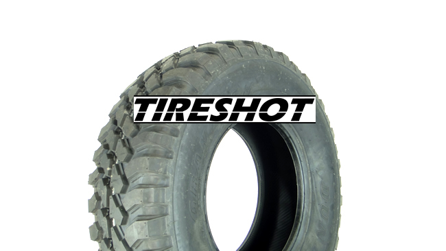 Tire Dunlop Grandtrek MT1